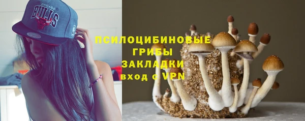 ГАЛЛЮЦИНОГЕННЫЕ ГРИБЫ Козельск