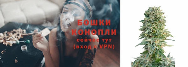 ГАЛЛЮЦИНОГЕННЫЕ ГРИБЫ Козельск