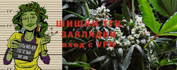 ГАЛЛЮЦИНОГЕННЫЕ ГРИБЫ Козельск