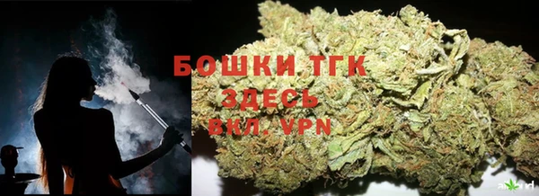 ГАЛЛЮЦИНОГЕННЫЕ ГРИБЫ Козельск