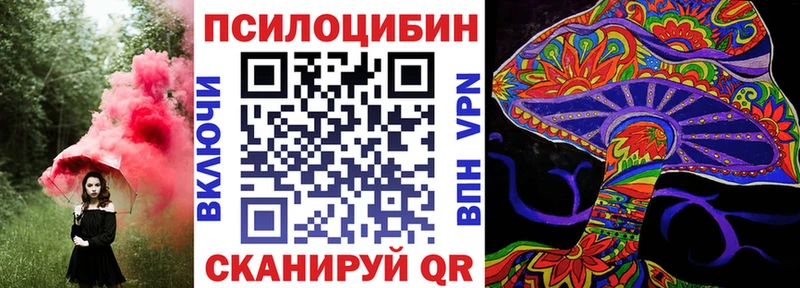 kraken tor  Александровское  Галлюциногенные грибы MAGIC MUSHROOMS  наркошоп 
