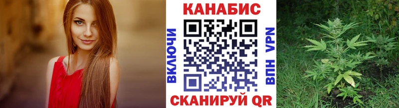 Марихуана сатива  где купить наркоту  Александровское 